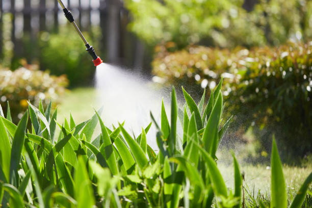 Tamper-Resistant Bait Stations for Rodents in Smiths Station