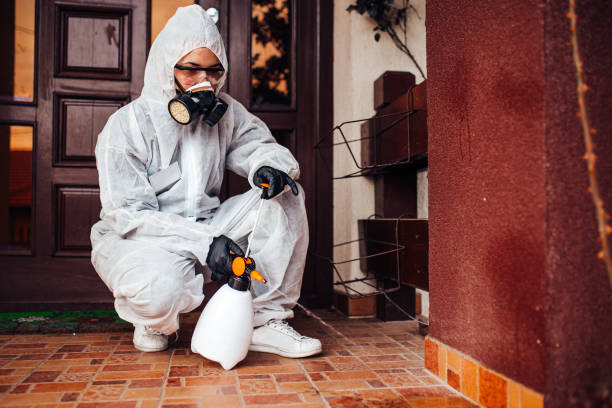Attic and Crawl Space Rodent Treatment in Smiths Station