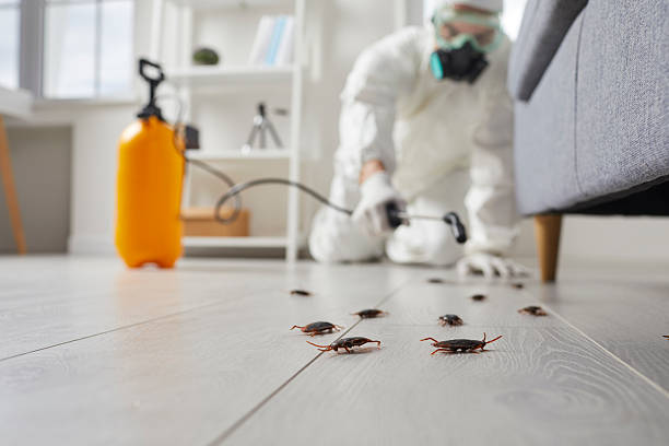 Commercial Rodent Management in Smiths Station